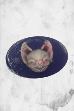 Sick Soaps Soap - Albino Bat