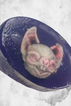 Sick Soaps Soap - Albino Bat