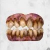 Trick Or Treat Studios Masks & Costumes Zombie Teeth