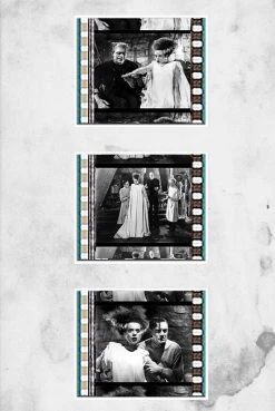 EE Bride Of Frankenstein - Film Cell (Elsa Lanchester - 1935) Props & Collectibles