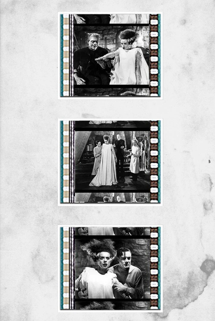 EE Bride Of Frankenstein - Film Cell (Elsa Lanchester - 1935) Props & Collectibles