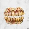 Trick Or Treat Studios Undead Teeth Masks & Costumes