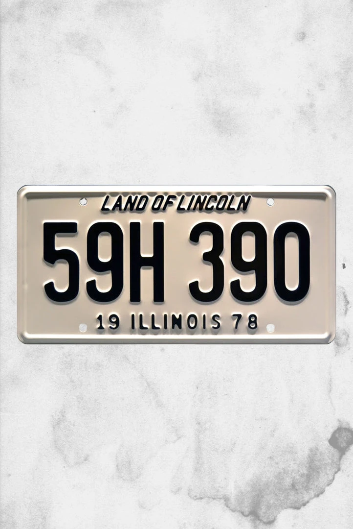 Celebrity Machine Halloween - Insane Asylum Station Wagon Plate Everything Else