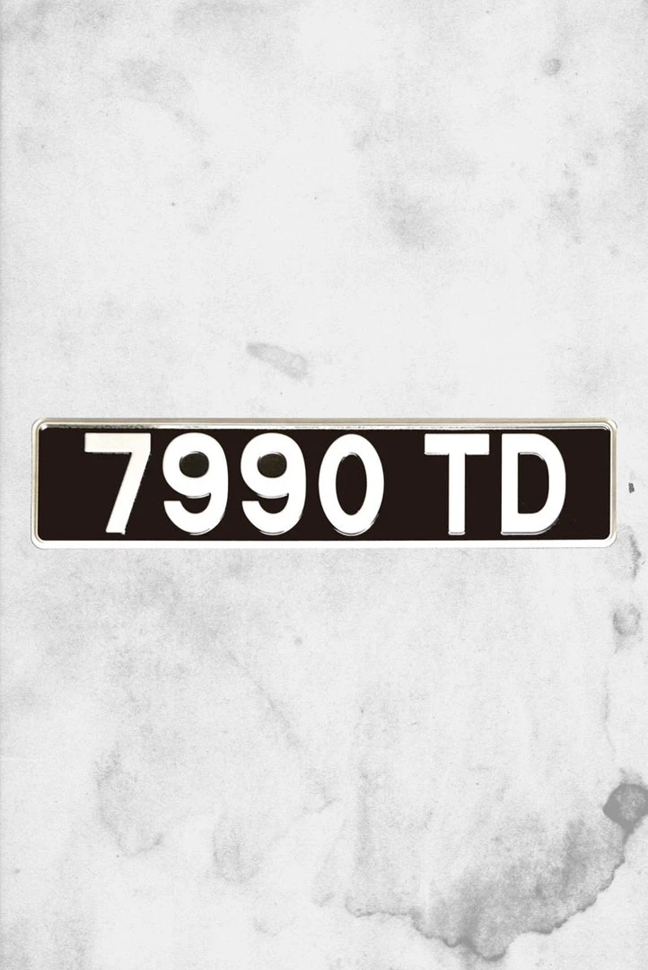 Celebrity Machine Harry Potter - Flying Ford Plate