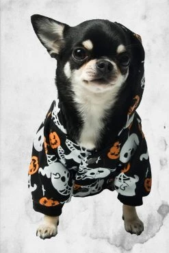 Killstar Haunted Pumpkin Pet Hoodie Pet Goods