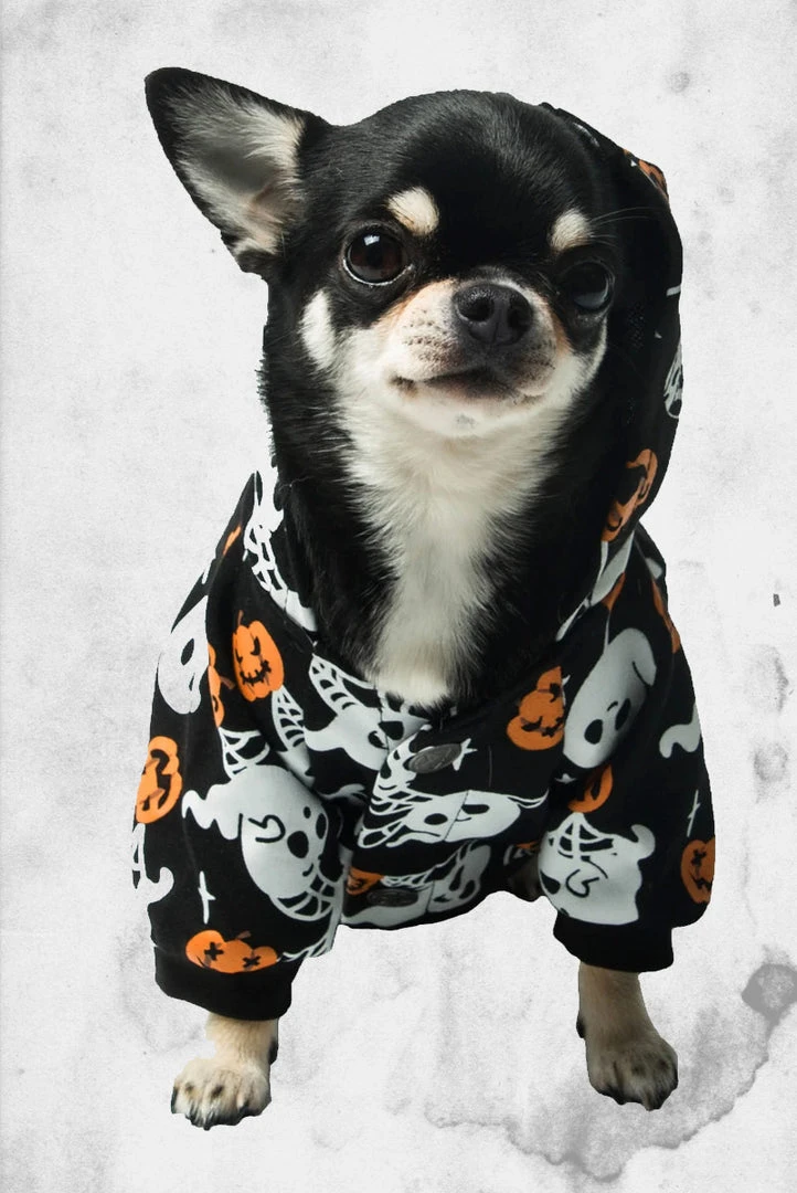 Killstar Haunted Pumpkin Pet Hoodie Pet Goods