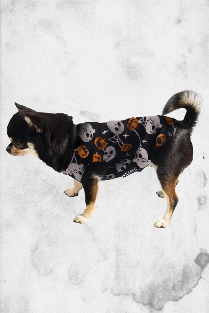 Killstar Pet Goods Haunted Pumpkin Pet Vest