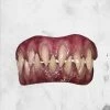Trick Or Treat Studios Demon Teeth