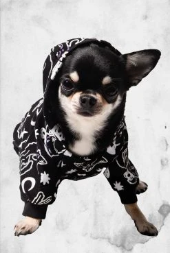 Killstar Purr Off Pet Hoodie Pet Goods