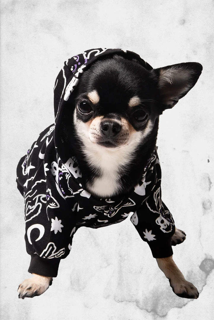 Killstar Purr Off Pet Hoodie Pet Goods