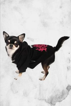 Killstar Pet Goods Daddy's Hellrasier Pet Hoodie