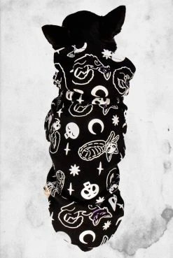 Killstar Purr Off Pet Hoodie Pet Goods