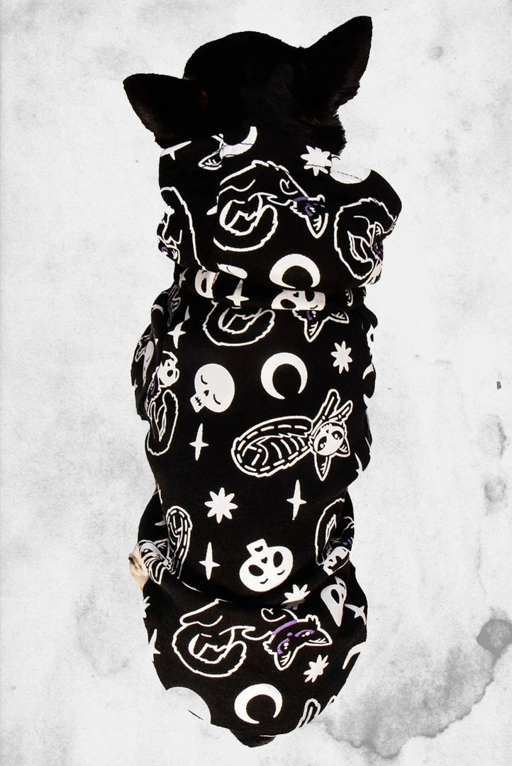 Killstar Purr Off Pet Hoodie Pet Goods